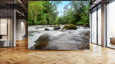 View of a river with rocks in the middle of the cloud forest in the northwestern part of the province of Pichincha - Ecuador Wall mural