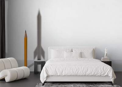 Pencils and a shadow in form of spacecraft . Success, cureer and solving problems business concept. Copy space for text . Wall mural