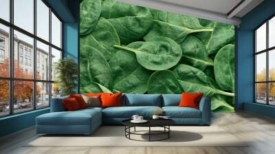 Spinach leaves, background close up top view, healthy eating Wall mural