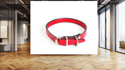 Leather red dog collar Wall mural