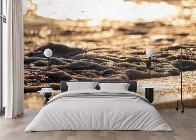 wave splash sea beach close up sunrise Wall mural