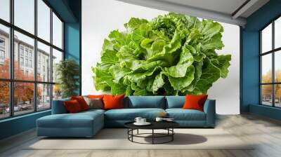 Whole Iceberg lettuce vegetable on a white background Wall mural