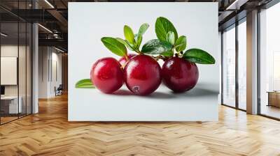 Whole Lingonberry fruit on a white background Wall mural