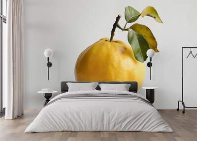 Whole Quince fruit on a white background Wall mural