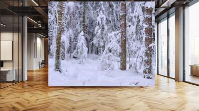 Wintertime landscape of snowy coniferous tree stand Wall mural