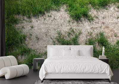 Bald spot of dry grass in the meadow. Pollution and environmental problems Wall mural