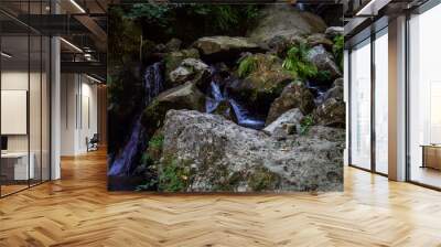 Large boulders in a stream. Mountain river.  Water flow Wall mural