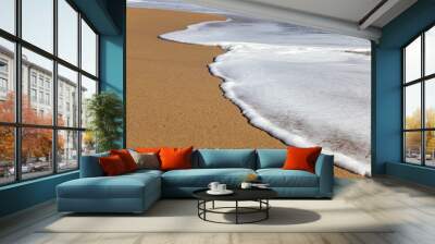 A soft sea wave rolls onto the sand of the beach. Seascape waves on the coast Wall mural