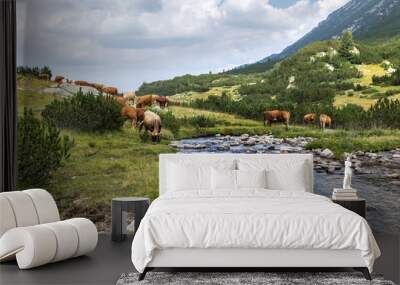 Idyllic summer landscape in the mountains with cows grazing on f Wall mural