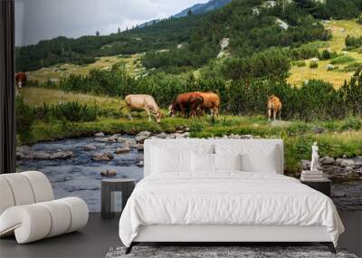 Idyllic summer landscape in the mountains with cows grazing on f Wall mural