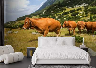 Idyllic summer landscape in the mountains with cows grazing on f Wall mural