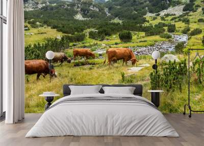 Idyllic summer landscape in the mountains with cows grazing on f Wall mural