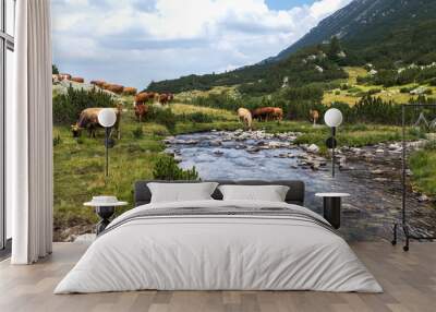 Idyllic summer landscape in the mountains with cows grazing on f Wall mural