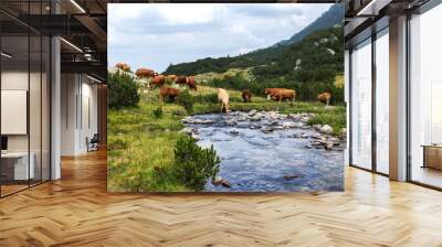 Idyllic summer landscape in the mountains with cows grazing on f Wall mural