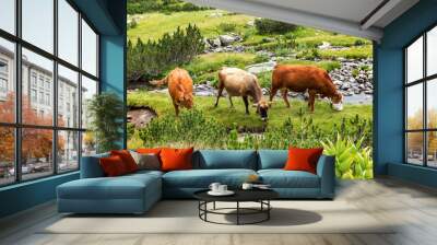 idyllic summer landscape in the mountains with cows grazing on f Wall mural