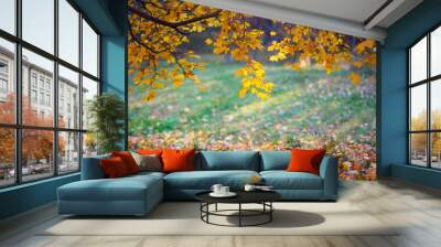 Beautiful autumn landscape with orange trees and sun rays, colorful foliage in the park, autumn falling leaves natural background Wall mural