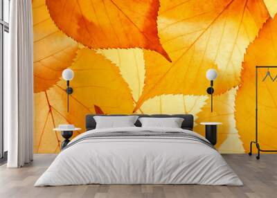 Bright background autumn season leaves close-up with backlight as a background, template or web banner for the design of the autumn theme Wall mural