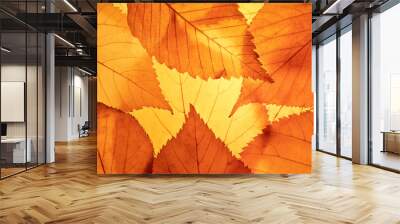 Bright background autumn season leaves close-up with backlight as a background, template or web banner for the design of the autumn theme Wall mural