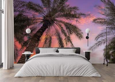 Palm trees against sky at sunset. Tropical nature background. Palm trees bottom view Wall mural