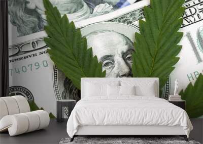 Money With Marijuana Leaf Close Up High Quality. Cannabis With Money Stock Photo Wall mural