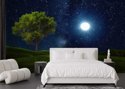 night starry sky  and moon comet  dust   nebula  and star fall wind  
 wild green field and trees in forest  cosmic   universe nature landscape Wall mural