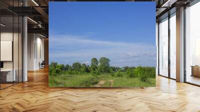 Rural road through a green field against a blue sky with clouds and two wood houses Wall mural