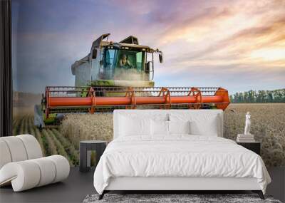 Combine harvester harvests ripe wheat. Ripe ears of gold field on the sunset cloudy orange sky background. . Concept of a rich harvest. Agriculture image Wall mural