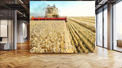 Combine harvester harvests ripe wheat. Ripe ears of gold field on the sunset cloudy orange sky background. . Concept of a rich harvest. Agriculture image Wall mural