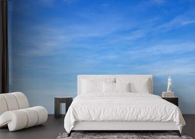 Beautiful blue sky with cirrus clouds over the sea. Skyline. Wall mural