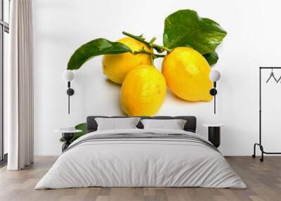 Three lemon on white Wall mural