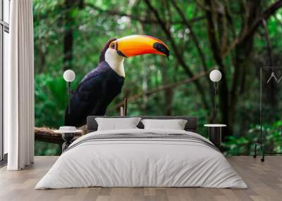 Toucan tropical bird sitting on a tree branch in natural wildlife environment in rainforest jungle Wall mural