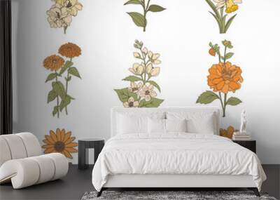 autumn flower elements. hand-drawn set.gladiolus, daffodil, jasmine, zinnia, ursinia. Wall mural