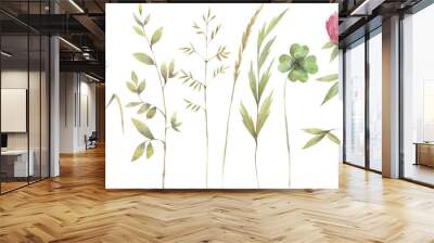 Hand painted watercolor illustration. Floral set with different herb.  Wall mural