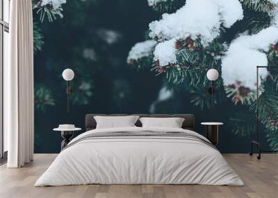 Beautiful Christmas Background with snow covered green pine tree brunch close up. Copy space, trendy moody dark toned design. Vintage December wallpaper. Natural winter holiday forest backdrop Wall mural