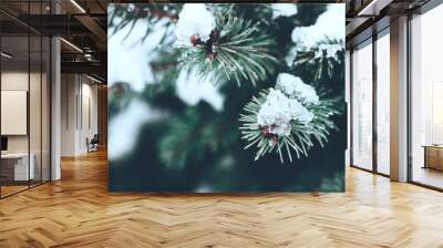 Beautiful Christmas Background with snow covered green pine tree brunch close up. Copy space, trendy moody dark toned design. Vintage December wallpaper. Natural winter holiday forest backdrop Wall mural