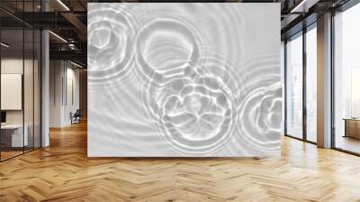 Blurred desaturated transparent clear calm water surface texture with splashes and bubbles. Trendy abstract nature background. White-grey water waves in sunlight. Copy space. Wall mural