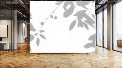 Blurred overlay effect for for natural light photo effects. Gray shadows of cherry tree branches with cherries on a white wall. Abstract neutral nature concept background for design presentation.  Wall mural