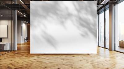 Blurred overlay effect for photo. Gray shadows of tree branches on a white wall. Abstract neutral nature concept background for design presentation. Shadows for natural light effects Wall mural