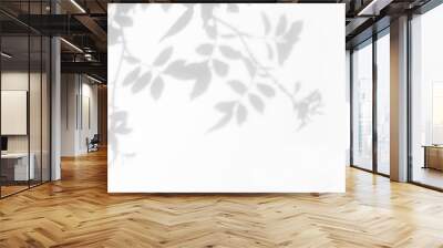 Overlay effect for photo. Gray shadow of the wild roses leaves on a white wall. Abstract neutral nature concept blurred background. Space for text. Wall mural