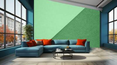 Textured and plain paper sheets divided diagonaliy creating line partition. Trendy neo mint and green abstract duo tone background design. Place for text. Top view Wall mural