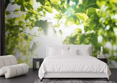 Upward glance to sun rays shines through forest trees. Scattered sunlight that filters through green elm leaves. Sunny summer nature background with sunshine radiant bokeh. Japanese Komorebi concept Wall mural