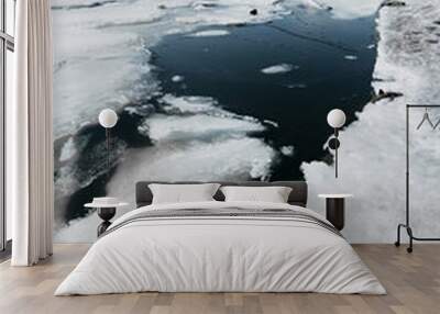 part of melting sea with fine ripples surrounded by white ice and clear sunny sky on background. vertical climate content, selective focus Wall mural