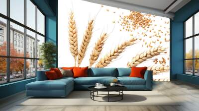 peeled spelled grains and ear of wheat on a transparent white background Wall mural