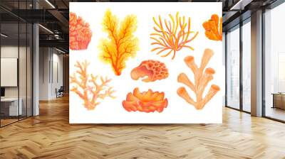 Watercolor set of corals. Underwater life. Marine plants isolated on white background for water entertainment places, parks, beaches design. Underwater flora hand painted cartoon style illustration Wall mural