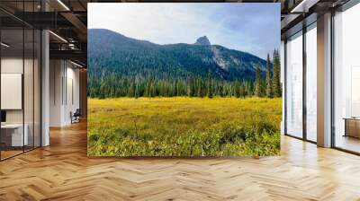 Autumn in the mountains landscape mountain nature sky forest mountains grass tree meadow trees hill green cloud view. Autumn in the mountains clouds summer park field valley fall scenic travel. Wall mural