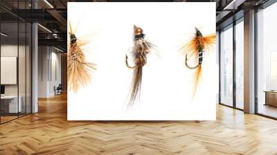 Macro shot five colorful fishing fly isolated on a white background. Hand made fly fishing flies. Fluffy fly fishing hook isolated. Wall mural