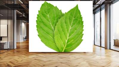 Mint leaves isolated on white. Mint Clipping Path Wall mural