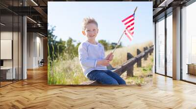 boy celebrating 4th of July Wall mural