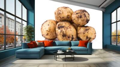 Raw unwashed potatoes with soil isolated on white background Wall mural