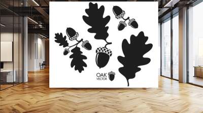 Oak tree. Silhouette. Isolated acorns and leaves on white background Wall mural